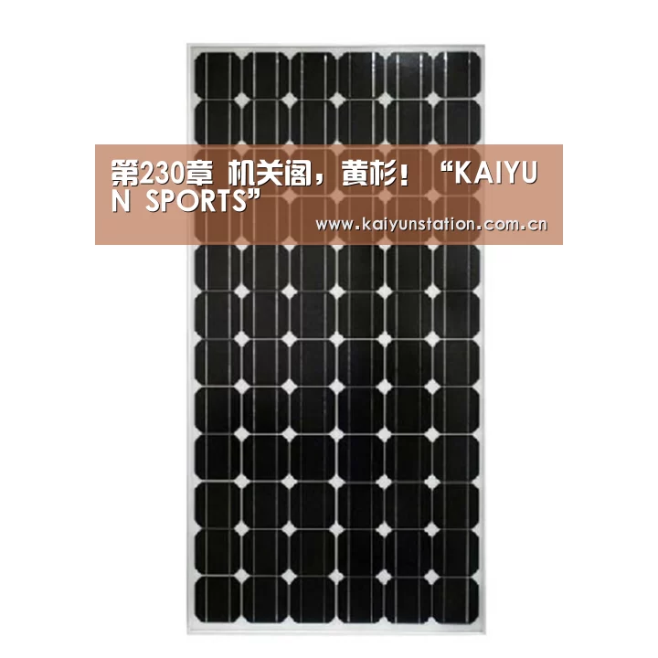 第230章 机关阁,黄杉!“KAIYUN SPORTS”(图4) 开云官网首页