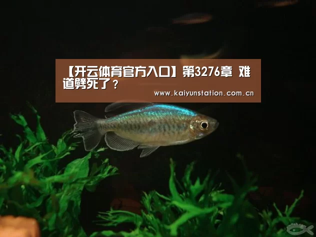 【开云体育官方入口】第3276章 难道劈死了?(图1) 开云官网首页