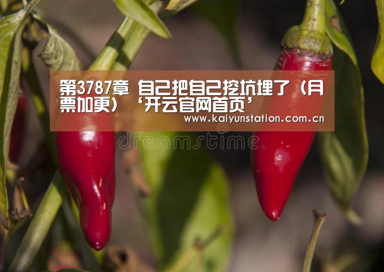 第3787章 自己把自己挖坑埋了(月票加更)‘开云官网首页’(图3) 开云体育数据中心